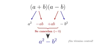 1778831017910.webp