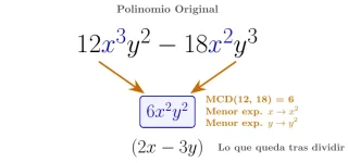 1778831329321.webp
