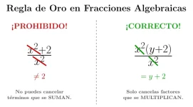 1778832523496.webp